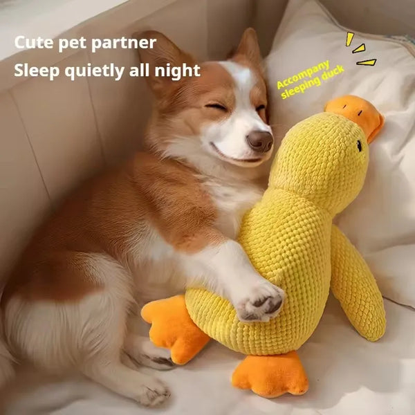 Quacking Duck Dog Toy